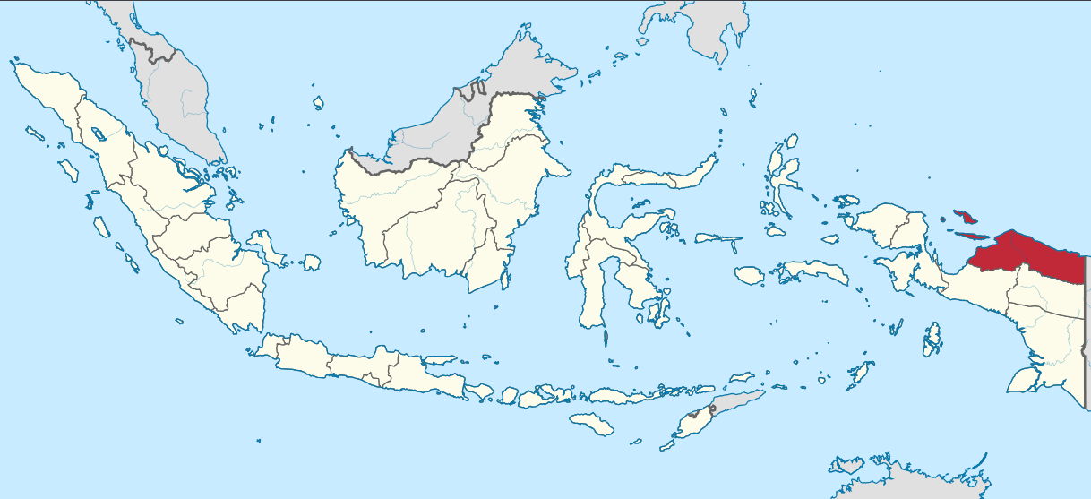 Two Killed in Shooting of Civilian Aircraft on Landing in Indonesia's Papua Region