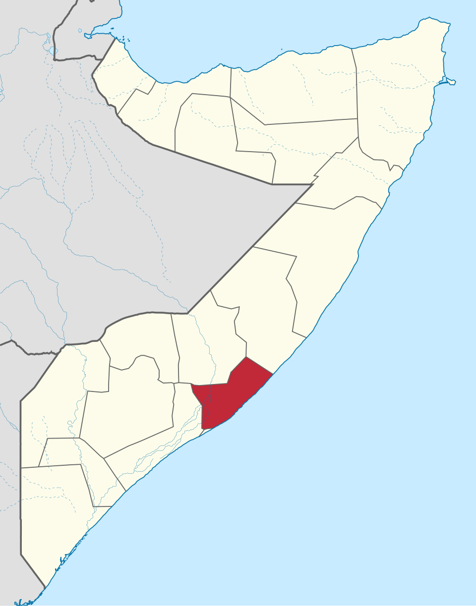 Somali National Intelligence Agency Reports Elimination of Over 23 Al-Shabaab Militants in Preemptive Operations in Hiiraan and Middle Shabelle